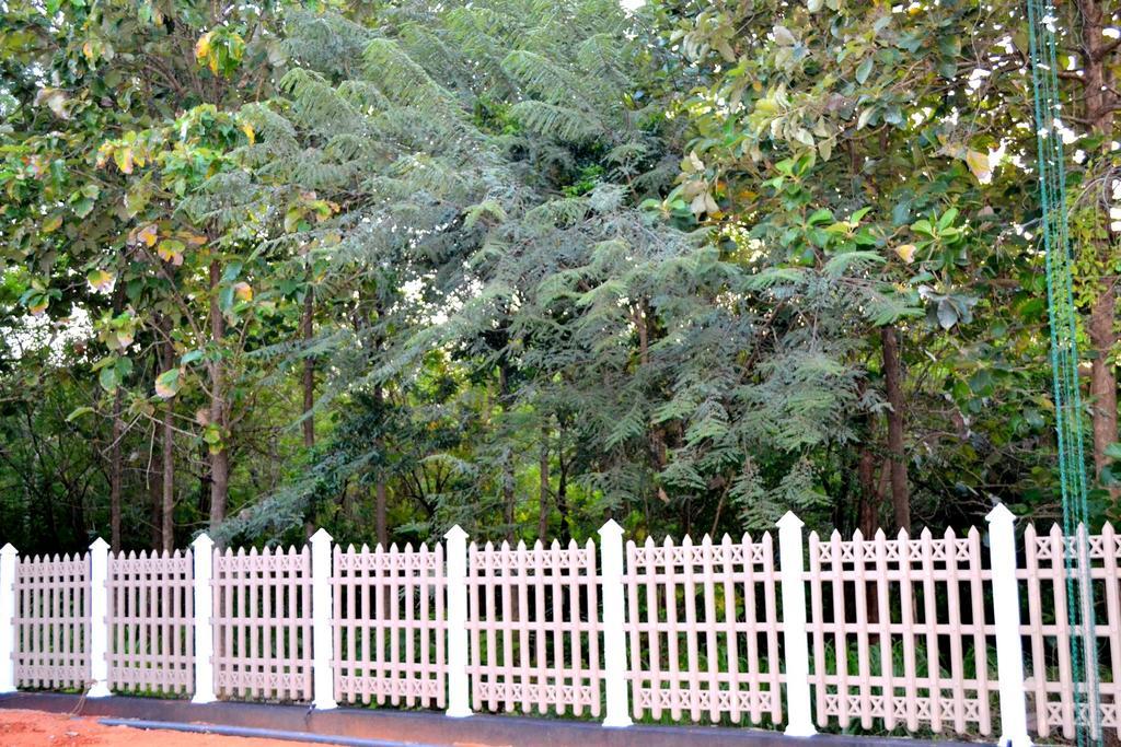 Pivisuma Lodge Dambulla Kültér fotó